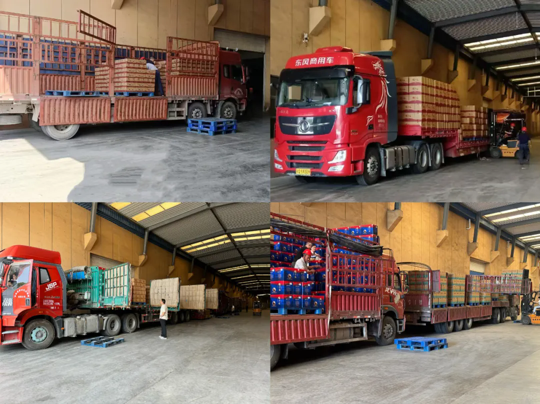 640 (2).webp.png 640 (2).webp.png